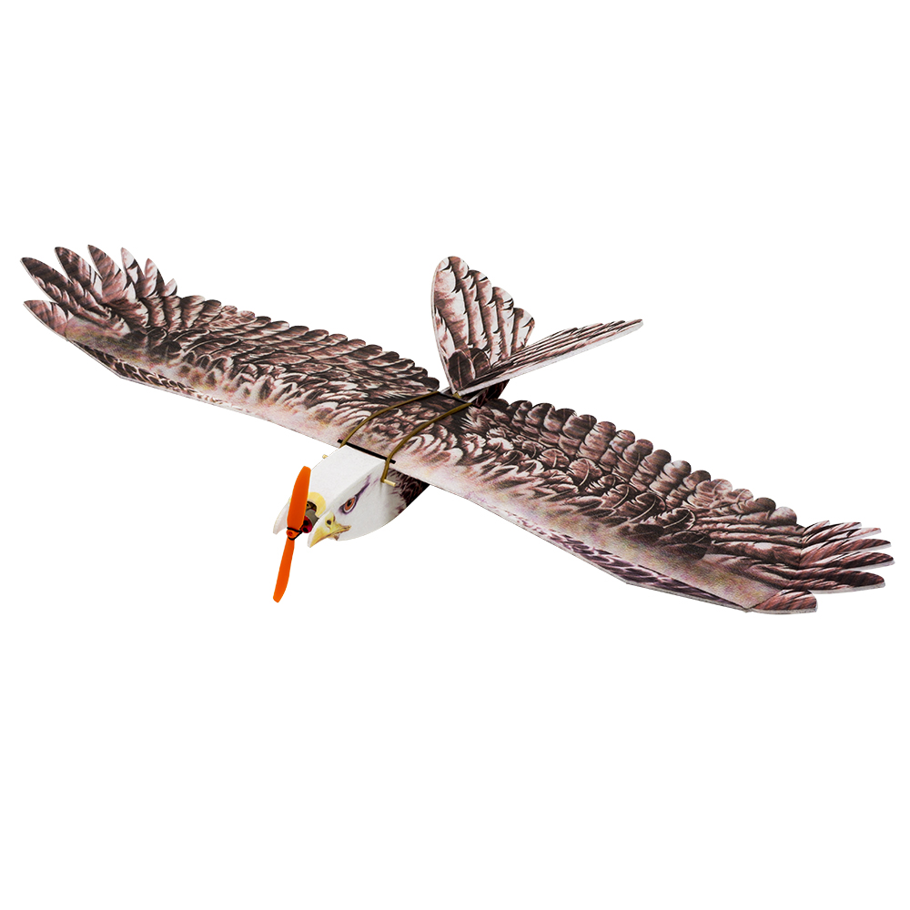 DW Hobby Eagle II EPP Airplane - Rc Hobby Online review and price