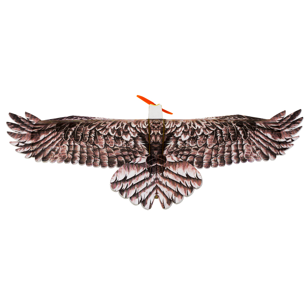 DW Hobby Eagle II EPP Airplane - Rc Hobby Online review and price