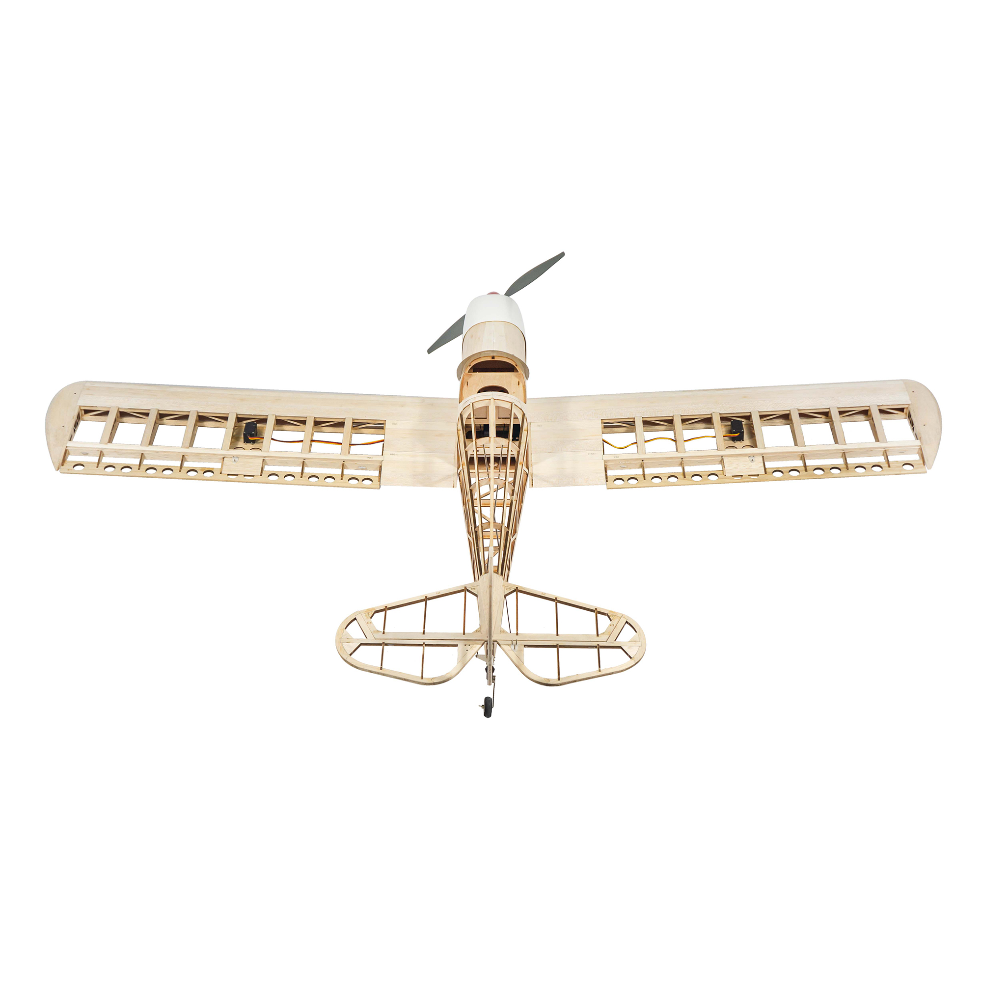 Dancing Wings Hobby 1.6M (63in - Rc Hobby Online review and price